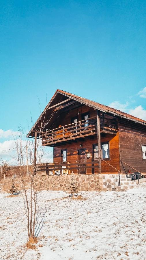 The Wooden Nest -Covasna Villa Exteriör bild